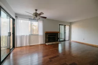 Photo #1: 224070565 Listing