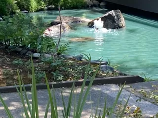 Photo #1: 224071224 Listing