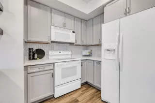 Photo #3: 224071320 Listing