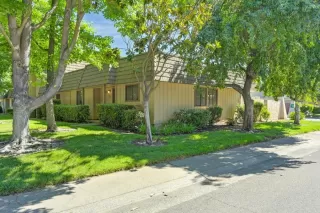 Photo #1: 224071443 Listing