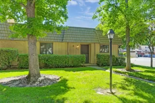 Photo #6: 224071443 Listing