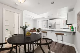 Photo #5: 224071481 Listing 