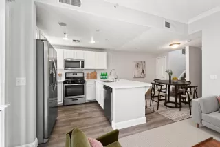 Photo #6: 224071481 Listing 