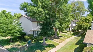 Photo #1: 224073084 Listing 