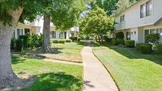 Photo #2: 224073084 Listing 