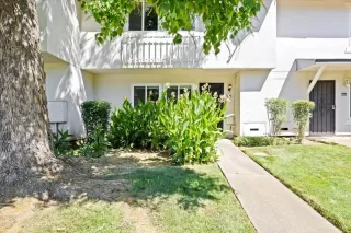 Photo #3: 224073084 Listing 