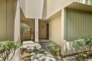 Photo #1: 224073538 Listing