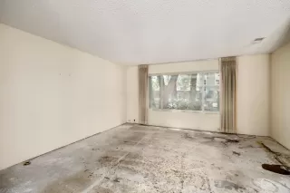 Photo #2: 224073538 Listing