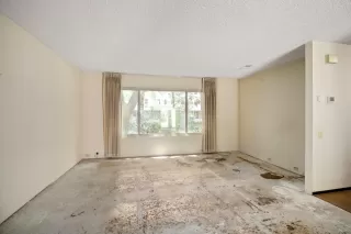 Photo #3: 224073538 Listing