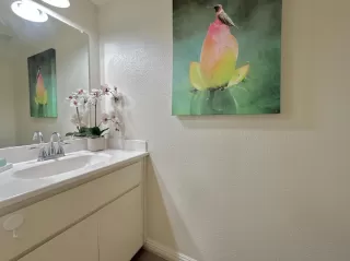 Photo #5: 224074373 Listing 