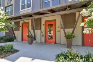 Photo #1: 224074462 Listing 