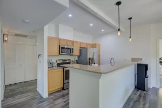 Photo #5: 224075559 Listing