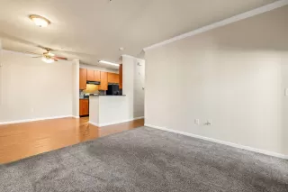 Photo #3: 224075580 Listing 