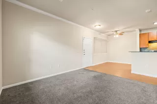 Photo #4: 224075580 Listing 