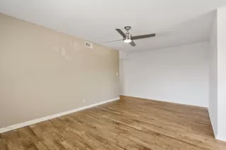 Photo #5: 224076056 Listing 