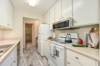 Photo #6: 224076124 Listing