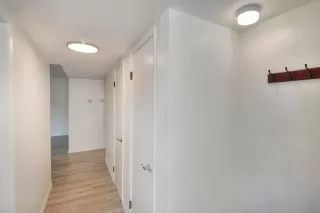 Photo #1: 224076218 Listing