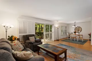 Photo #1: 224076430 Listing 