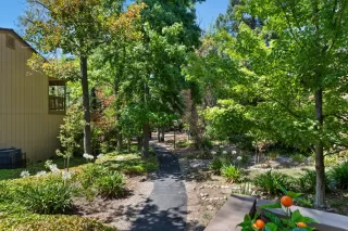 Photo #4: 224076430 Listing 