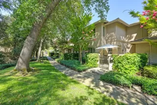 Photo #1: 224076811 Listing