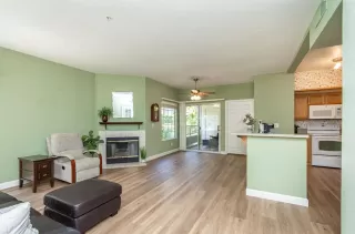 Photo #5: 224077212 Listing 