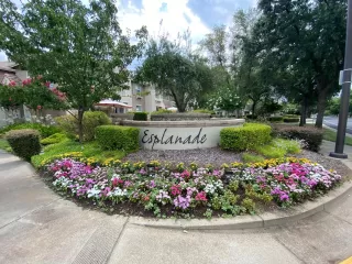 Photo #2: 224077368 Listing