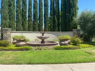 Photo #3: 224077368 Listing