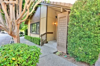 Photo #1: 224077444 Listing 