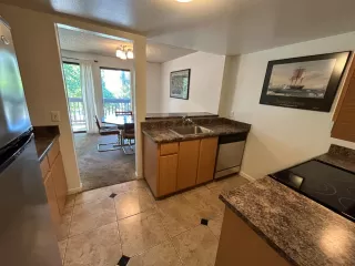 Photo #1: 224077453 Listing