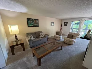 Photo #4: 224077453 Listing