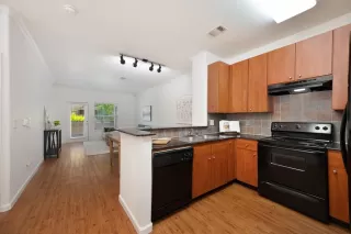 Photo #1: 224078235 Listing