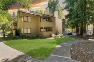 Photo #1: 224080807 Listing 