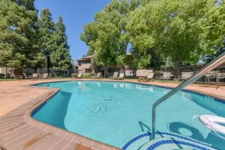 Photo #2: 224080807 Listing 