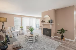 Photo #6: 224081571 Listing