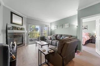 Photo #2: 224082571 Listing