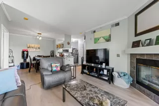 Photo #4: 224082571 Listing