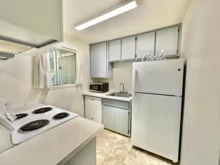 Photo #6: 224082905 Listing 