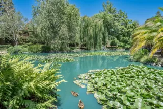 Photo #3: 224083564 Listing