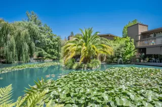 Photo #5: 224083564 Listing