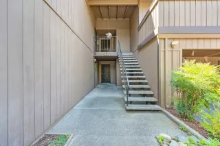 Photo #2: 224086627 Listing