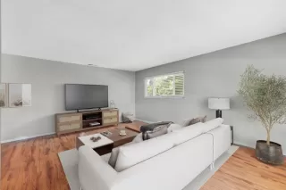 Photo #1: 224086994 Listing 