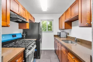 Photo #4: 224086994 Listing 