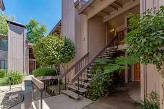 Photo #1: 224087594 Listing