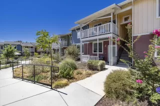 Photo #1: 224089825 Listing