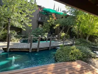 Photo #1: 224090089 Listing