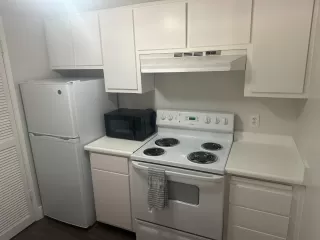 Photo #2: 224090089 Listing