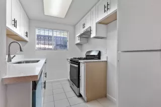 Photo #3: 224090969 Listing
