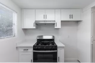 Photo #6: 224090969 Listing