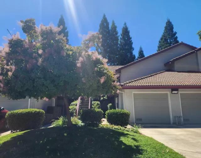 MLS: 224093128 Condo For Sale