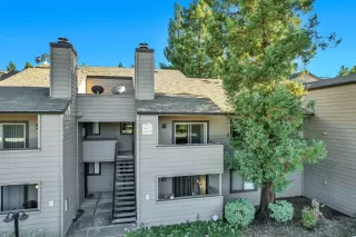 Photo #2: 224094424 Listing 